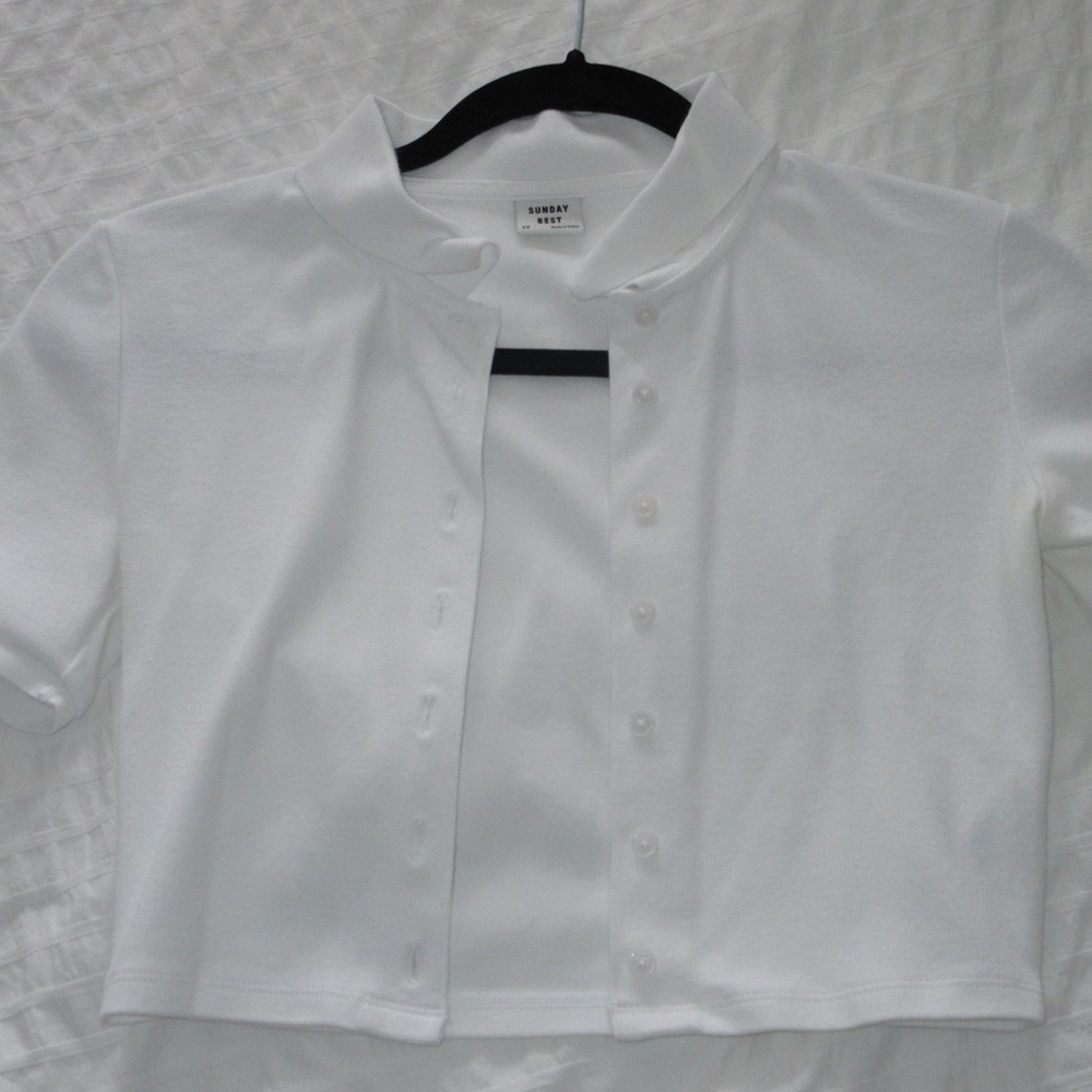 Sunday Best Cropped Collared Sweater